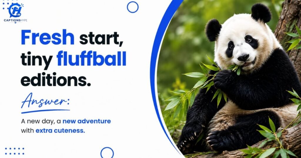 Baby Panda Captions