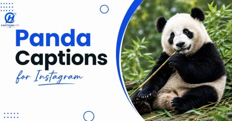 Panda Captions for Instagram