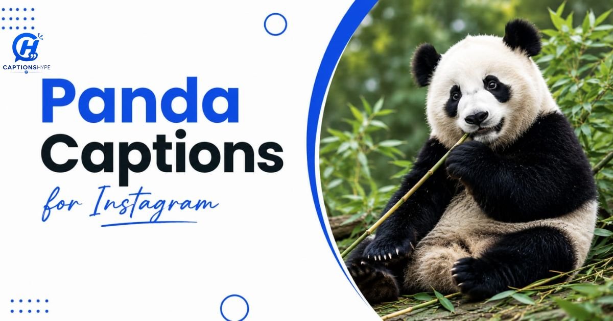 Panda Captions for Instagram