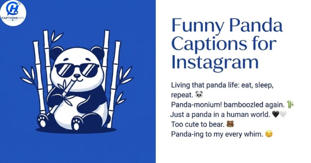 Funny Panda Captions for Instagram